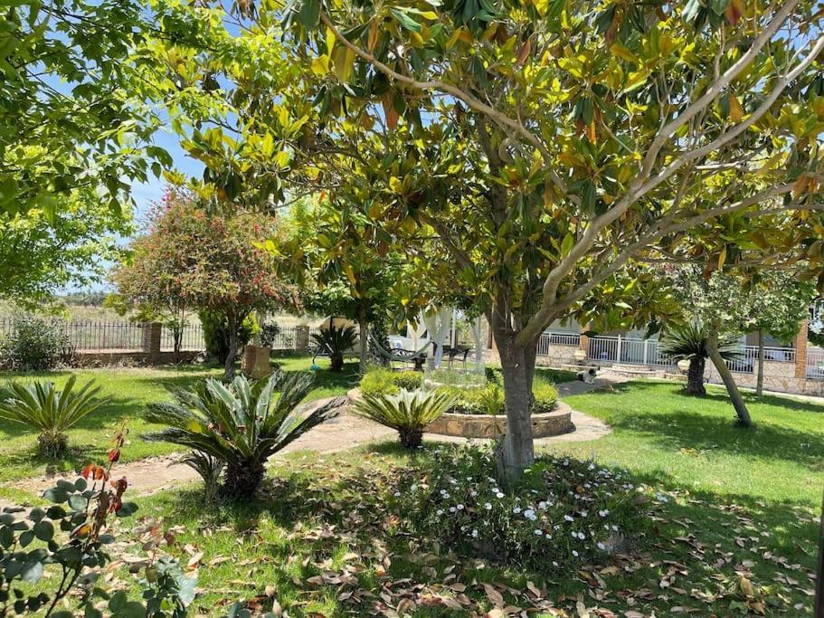 Mama'S Sunshine Garden Villa Άγιος Ηλίας Εξωτερικό φωτογραφία