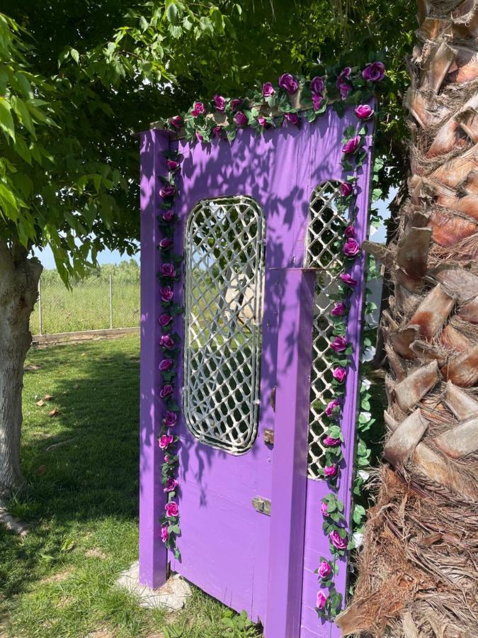 Mama'S Sunshine Garden Villa Άγιος Ηλίας Εξωτερικό φωτογραφία