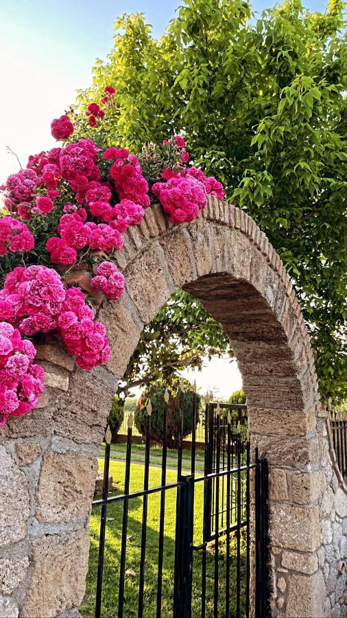 Mama'S Sunshine Garden Villa Άγιος Ηλίας Εξωτερικό φωτογραφία
