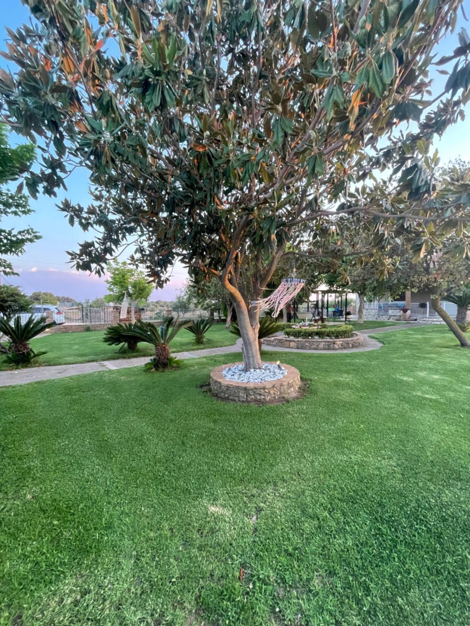 Mama'S Sunshine Garden Villa Άγιος Ηλίας Εξωτερικό φωτογραφία