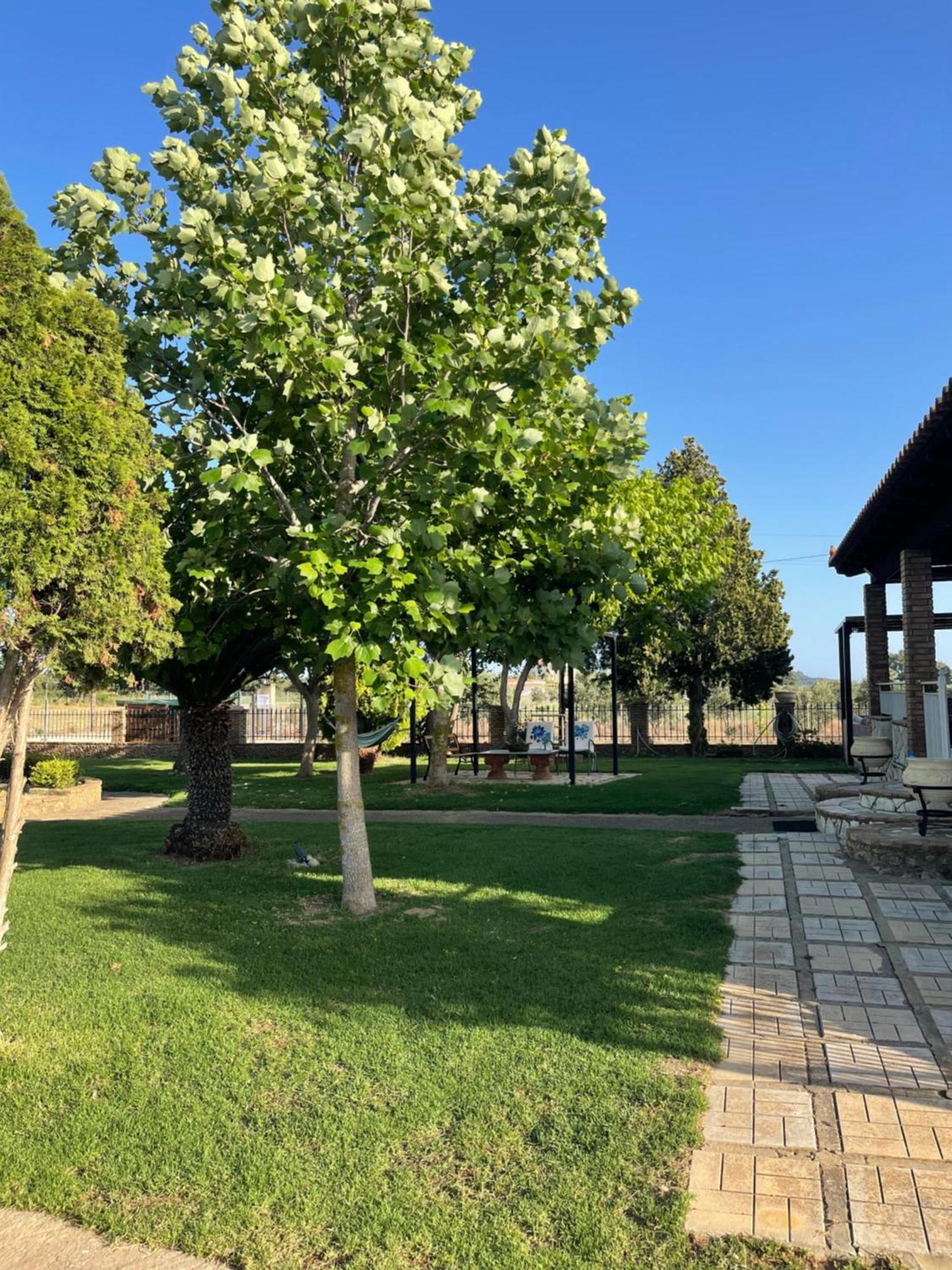 Mama'S Sunshine Garden Villa Άγιος Ηλίας Εξωτερικό φωτογραφία